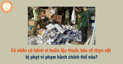 Cá nhân có hành vi buôn lậu thuốc bảo vệ thực vật bị cấm kinh doanh thì bị phạt vi phạm hành chính thế nào?
