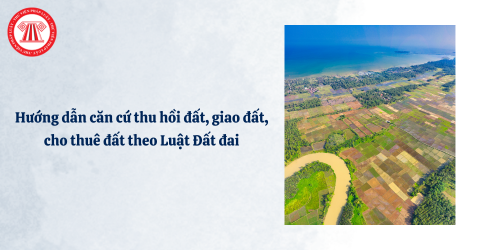 Hướng dẫn căn cứ thu hồi đất, giao đất, cho thuê đất theo Luật Đất đai tại Công văn 5786/BNNMT-QLĐĐ