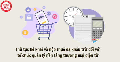 Quyết định 2345: Thủ tục kê khai và nộp thuế đã khấu trừ đối với các tổ chức quản lý nền tảng thương mại điện tử