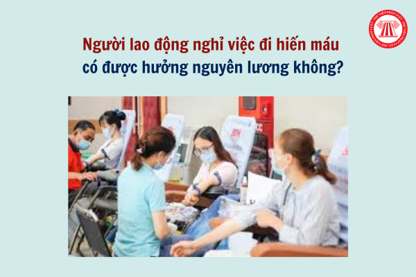 Lao Động Tiền Lương