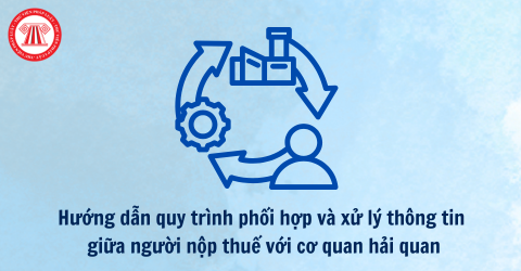Hướng dẫn quy trình phối hợp và xử lý thông tin giữa người nộp thuế với cơ quan hải quan