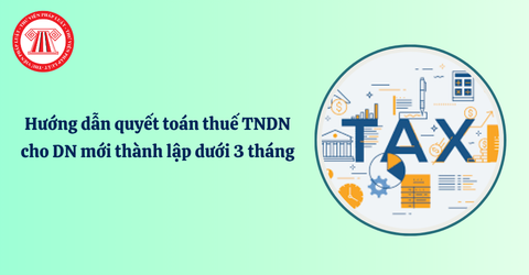 Hướng dẫn quyết toán thuế TNDN cho doanh nghiệp mới thành lập dưới 3 tháng theo Công văn 2800/BNI-QLDN1