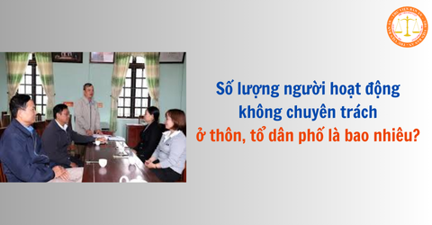 Số lượng người hoạt động không chuyên trách ở thôn, tổ dân phố là bao nhiêu? Mức phụ cấp hằng tháng như thế nào?