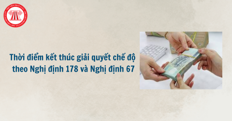 Bài Viết Bản Án