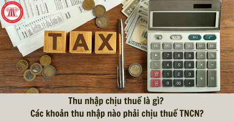 Thu nhập chịu thuế là gì? Các khoản thu nhập nào phải chịu thuế TNCN?