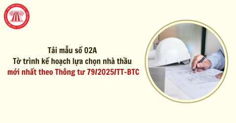 Tải mẫu số 02A Tờ trình kế hoạch lựa chọn nhà thầu mới nhất theo Thông tư 79/2025/TT-BTC