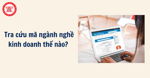 Tra cứu mã ngành nghề kinh doanh thế nào? Quy định mã ngành nghề kinh doanh khi đăng ký doanh nghiệp?
