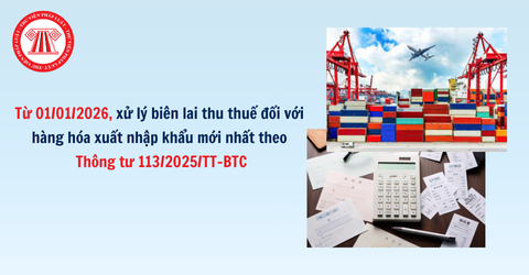 Từ 01/01/2026, xử lý biên lai thu thuế đối với hàng hóa xuất nhập khẩu mới nhất theo Thông tư 113/2025/TT-BTC