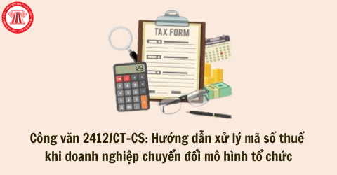 Công văn 2412/CT-CS: Hướng dẫn xử lý mã số thuế khi doanh nghiệp chuyển đổi mô hình tổ chức