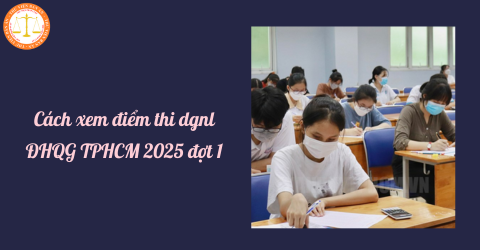 Hướng dẫn cách xem điểm thi đánh giá năng lực ĐHQG TPHCM 2025 đợt 1 trên https://thinangluc.vnuhcm.edu.vn/dgnl