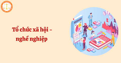 Tổ chức xã hội - nghề nghiệp được công nhận đủ điều kiện cấp chứng chỉ hành nghề khi nào?