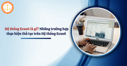 Hệ thống Ecus6 là gì? Những trường hợp thực hiện thủ tục trên Hệ thống Ecus6 theo Công văn 6324/CHQ-GSQL