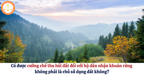 Có được cưỡng chế thu hồi đất đối với hộ dân nhận khoán rừng không phải là chủ sử dụng đất không?
