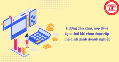Hướng dẫn khai, nộp thuế tạm thời khi chưa được cấp mã định danh doanh nghiệp (Hình từ Internet)