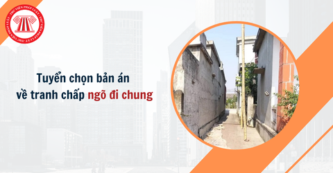 Tuyển tập bản án về tranh chấp ngõ đi chung, hủy giấy chứng nhận quyền sử dụng đất mới nhất