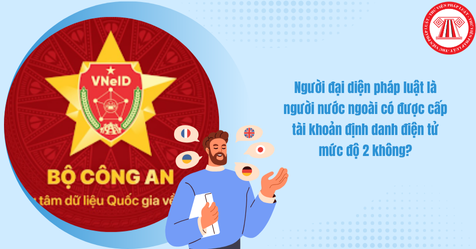 Người đại diện pháp luật là người nước ngoài có được cấp tài khoản định danh điện tử mức độ 2 không? (Hình từ Internet)