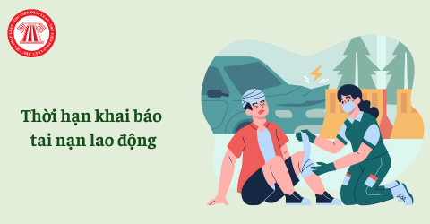 Bài Viết Bản Án