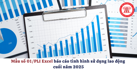 Bài Viết Bản Án