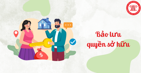 Quy định về biện pháp bảo lưu quyền sở hữu theo quy định pháp luật Dân sự Việt Nam hiện hành?