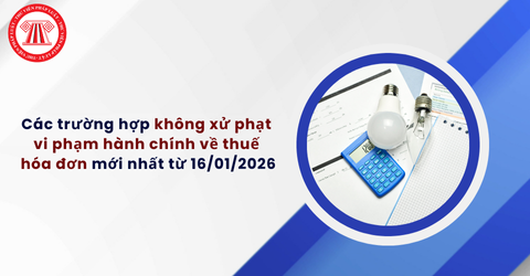 Các trường hợp không xử phạt vi phạm hành chính về thuế hóa đơn mới nhất từ 16/01/2026 theo Nghị định 310/2025
