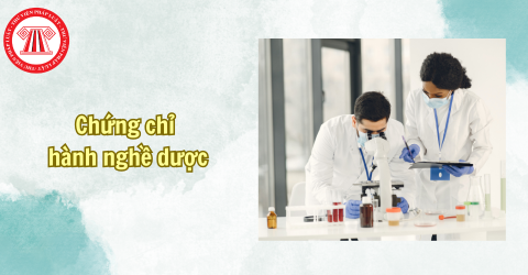 Các văn bằng chuyên môn và chức danh nghề nghiệp được cấp Chứng chỉ hành nghề dược là gì?