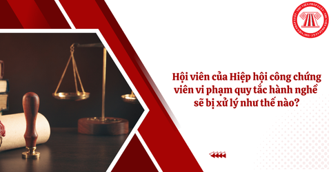 Hội viên của Hiệp hội công chứng viên vi phạm quy tắc hành nghề sẽ bị xử lý như thế nào?