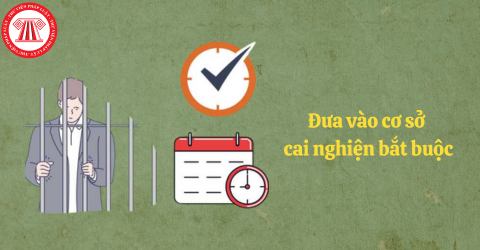 Trong thời gian thử thách án treo mà bị nghiện thì có áp dụng biện pháp đưa vào cơ sở cai nghiện bắt buộc hay không?