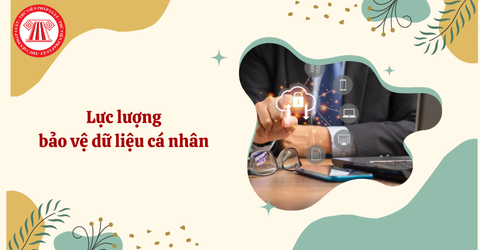 Lực lượng bảo vệ dữ liệu cá nhân bao gồm những ai? Cá nhân có được cung cấp dịch vụ bảo vệ dữ liệu cá nhân không?