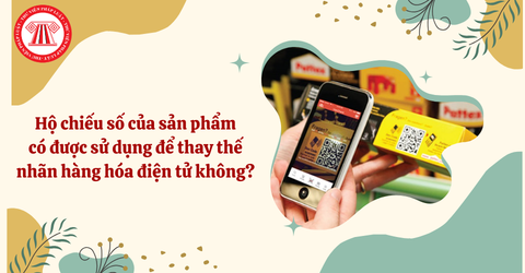 Bài Viết Bản Án