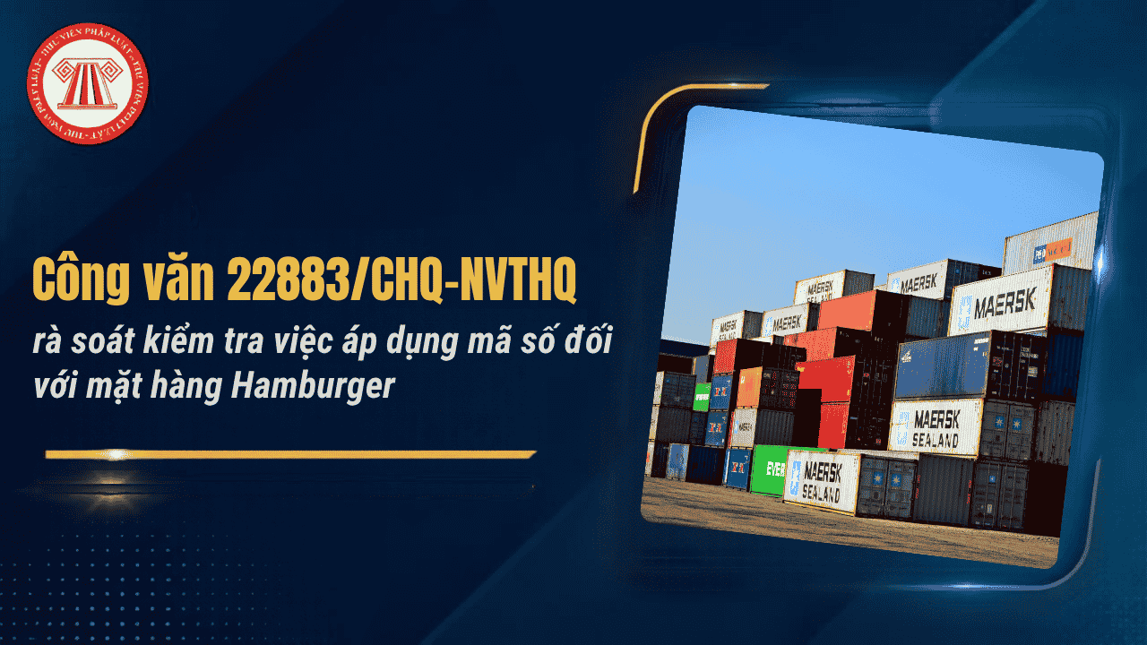 Công văn 22883/CHQ-NVTHQ rà soát kiểm tra việc áp dụng mã số đối với mặt hàng Hamburger chi tiết ra sao?