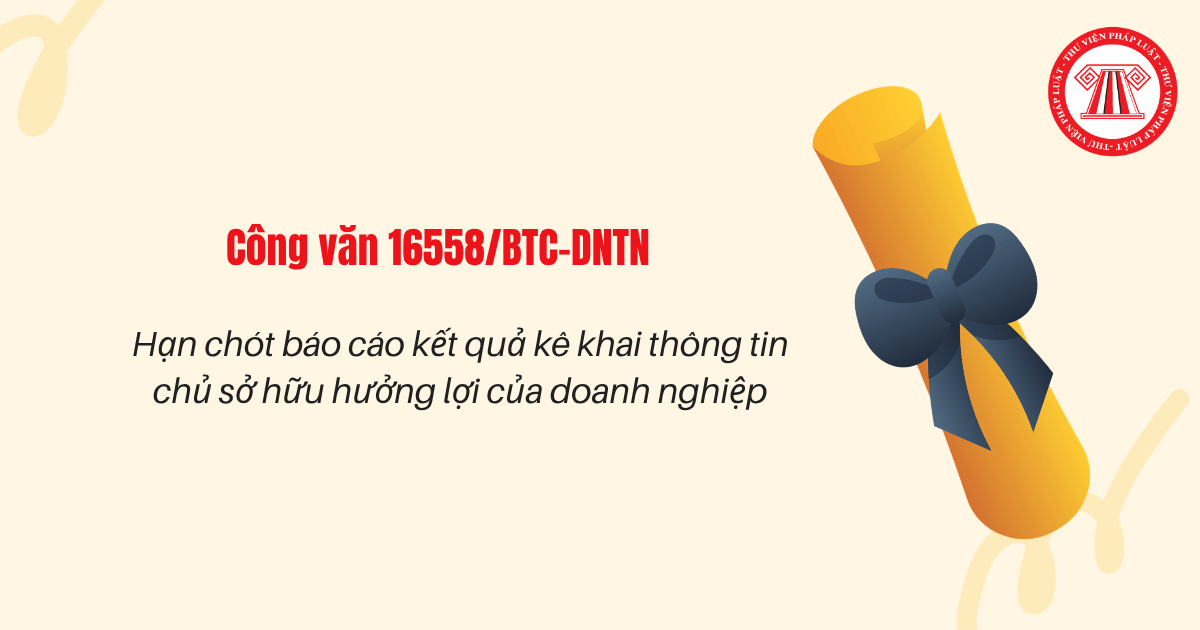 Hạn chót báo cáo kết quả kê khai thông tin chủ sở hữu hưởng lợi theo Công văn 16558 BTC DNTN là khi nào?
