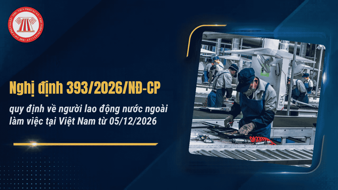 Bài Viết Bản Án