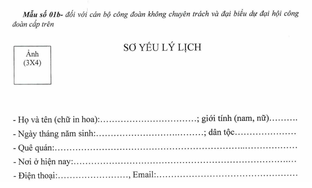 Mẫu số 01b - đối với cán bộ công đoàn không chuyên trách và đại biểu dự đại hội công đoàn cấp trên