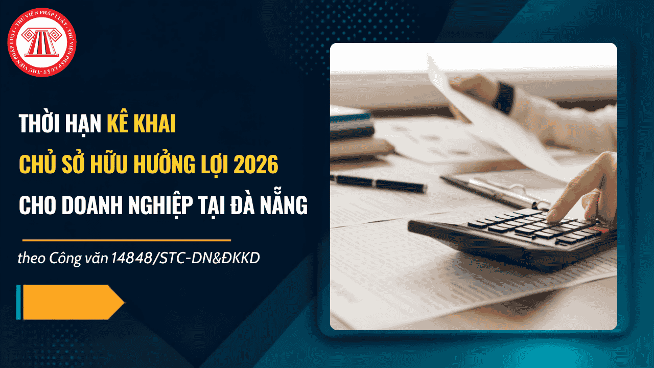 Thời hạn kê khai chủ sở hữu hưởng lợi 2026 cho doanh nghiệp tại Đà Nẵng theo Công văn 14848/STC-DN&ĐKKD là khi nào?