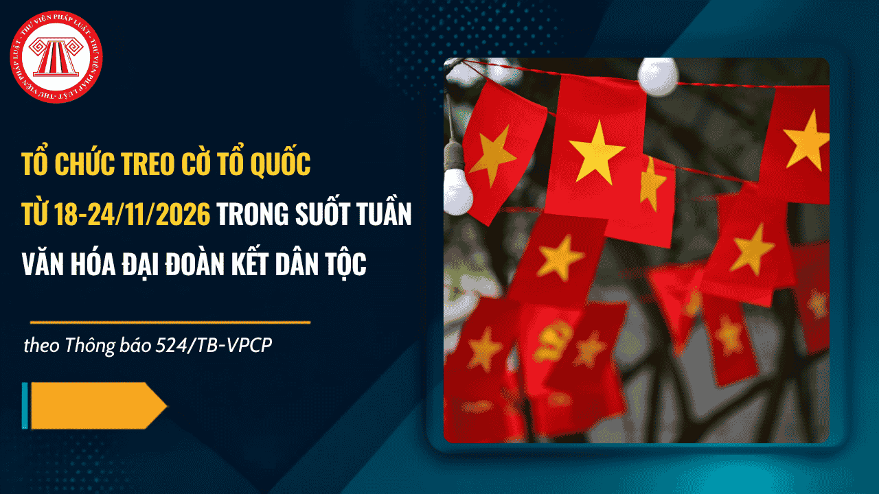 Bài Viết Bản Án
