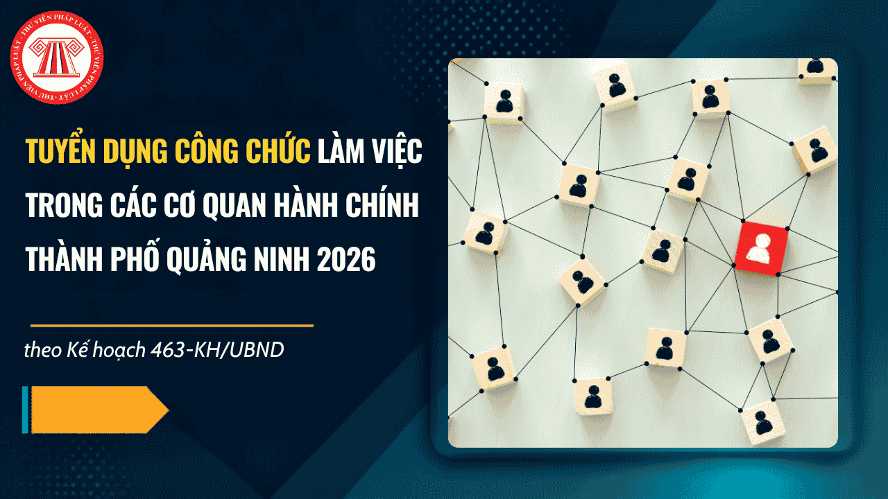 Kế hoạch 463-KH/UBND Tuyển dụng công chức TP Quảng Ninh năm 2026 làm việc trong các cơ quan hành chính chi tiết thế nào?