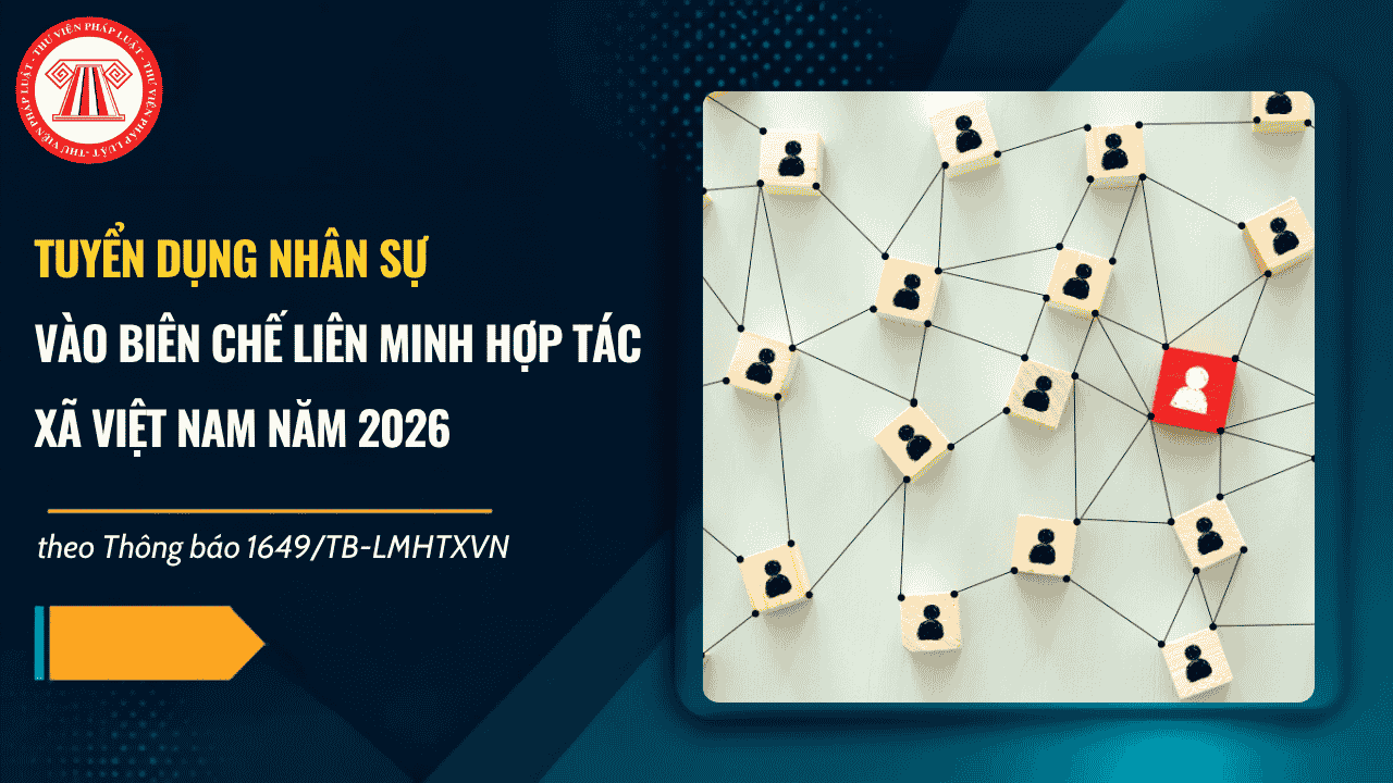 Thông báo 1649: Tuyển dụng nhân sự vào biên chế Liên minh Hợp tác xã Việt Nam năm 2026 chi tiết thế nào?