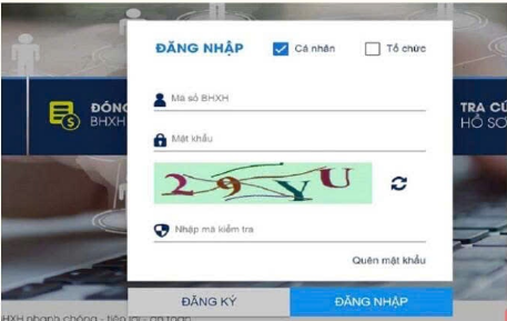 Cách đổi số điện thoại, email trên VssID mới nhất 2026?