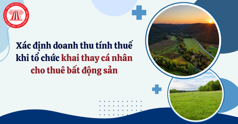 Xác định doanh thu tính thuế khi tổ chức khai thay cá nhân cho thuê bất động sản 