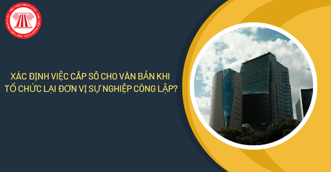 Xác định việc cấp số cho văn bản khi tổ chức lại đơn vị sự nghiệp công lập?