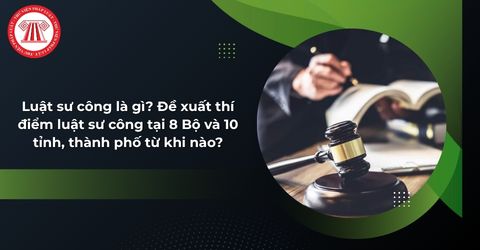 Luật sư công là gì? Đề xuất thí điểm luật sư công tại 8 Bộ và 10 tỉnh, thành phố từ khi nào?