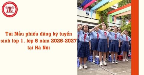 Bài Viết Bản Án