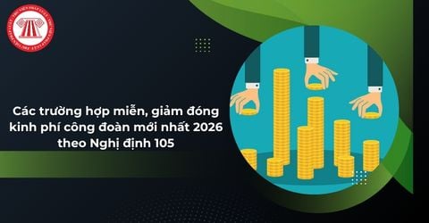 Bài Viết Bản Án