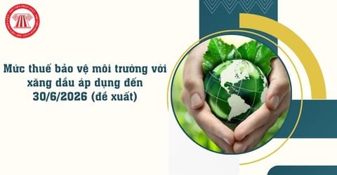 Mức thuế bảo vệ môi trường với xăng dầu áp dụng đến 30/6/2026 theo đề xuất mới nhất ra sao?
