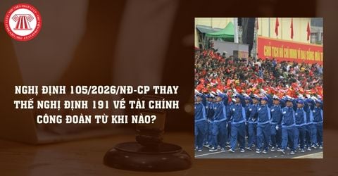 Bài Viết Bản Án