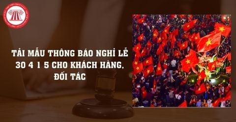 Bài Viết Bản Án