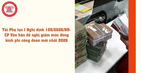 Bài Viết Bản Án