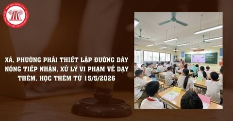 Thông tư 19 2026: Xã, phường phải thiết lập đường dây nóng tiếp nhận, xử lý vi phạm về dạy thêm, học thêm từ 15/5/2026