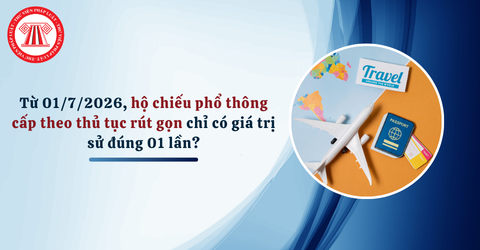 Bài Viết Bản Án
