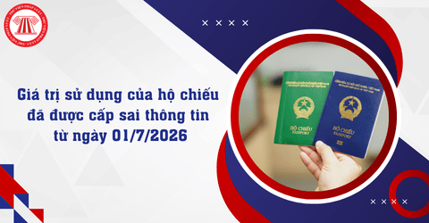 Bài Viết Bản Án